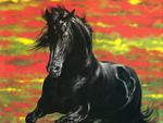 Black stallion