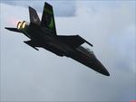 FSX F-14 Hotzoner