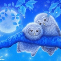 Moonnight Owls