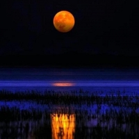 REFLECTION OF THE MOON