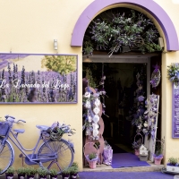 A lavender shop