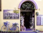 A lavender shop