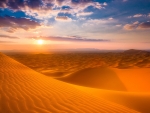Sunset in the Desert