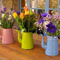 Flowers by the Window