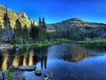 California Lake Woodland F