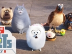 The Secret life of Pets