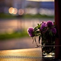 Flowers in a Glas