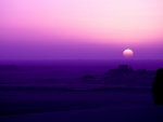 Purple sunset