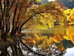Autumn Lake