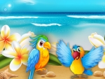 Beach Parrots