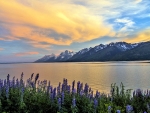 Lake,Grand Teton,Wyoming