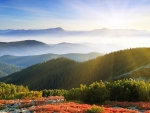 sunrise forest mountains