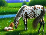 Horse with Foal
