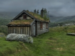 grass roof on a wooden cabin