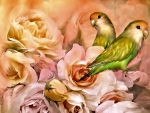 Lovely Birds