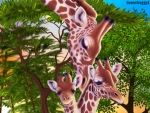 GIRAFFE FAMILY