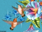 HUMMINGBIRDS IN FLIGHT