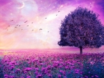 Purple Fields