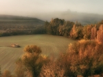 fog over fields in autumn