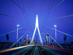 Erasmus bridge, Rotterdam