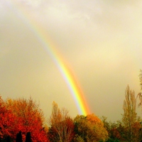 Autumns Rainbow