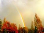 Autumns Rainbow