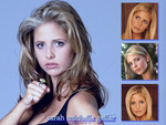 Sara Michelle Gellar