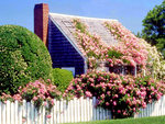 Rose Covered Cottage