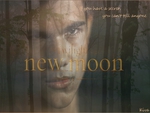 Twilight   New Moon   Jacob Black