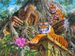 Temple Tigers