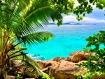 Tropical beach.The Seychelles