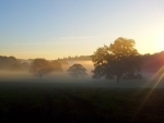 Misty Morning Light