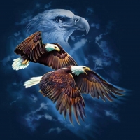 EAGLE SPIRIT