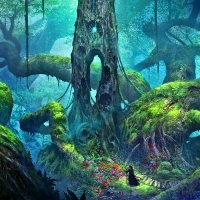 The High Druids Garden