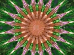 Abstract flower