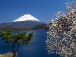 Fuji Scenery
