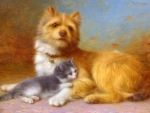 Kitten and Dog