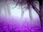 purple