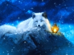 White Fox
