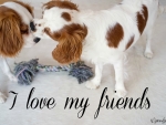 LOVE MY FRIENDS