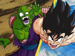 Piccolo JR vs Goku