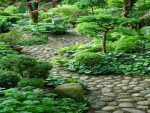 forest garden path