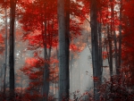 Red Forest Landscape