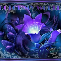 COLOR MY WORLD