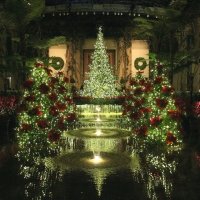 LONGWOODS CHRISTMAS BALLROOM