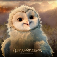 Guardian of the galaxy owl