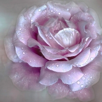 ÚªÛ’áƒ¦Ú°Û£âœ¿ï»¿ áƒ¦â¤áƒ¦ ÚªÛ’áƒ¦Ú°Û£âœ¿ï»¿