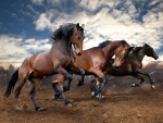 Three Horses Running