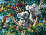Koalas and Friends