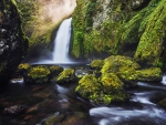 Green moss waterfall
